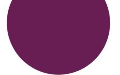 AZAROAREN 25A, EMAKUMEEN AURKAKO INDARKERIA EZABATZEKO NAZIOARTEKO EGUNA