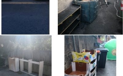 HERRITAR BATZUK ZABORRAREN INGURUAN EGITEN DUTEN KUDEAKETA DELA ETA ALKATEAREN GUTUNA