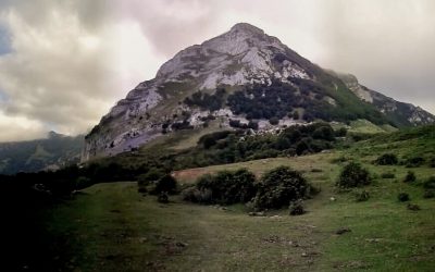 LARRONDOKO LARREALDIRAKO IZENAK EMATEKO EPEA ZABALIK