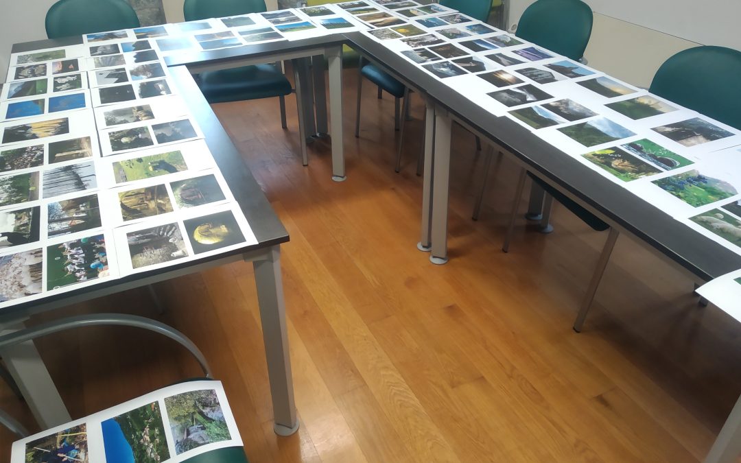 TODAS LAS FOTOGRAFÍAS PRESENTADAS EN EL CONCURSO DE FOTOGRAFÍA