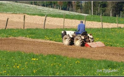 COVID-19ak SORTUTAKO EGOERA EKONOMIKOAREN ONDORIOZ, UDALAREN DIRULAGUNTZAK ESKATZEKO EPEA IRAILAREN 30ARTE
