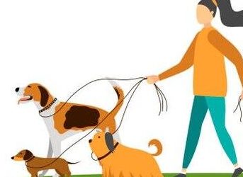 ADVERTENCIA PARA L@S DUEÑ@S DE LOS PERROS