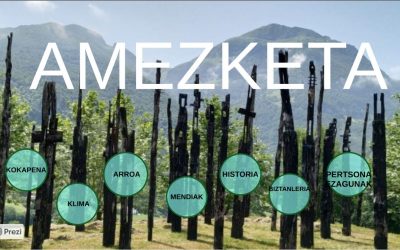 ZUMADI ESKOLAKO 5.MAILAKO IKASLEEN LAN BIKAINA