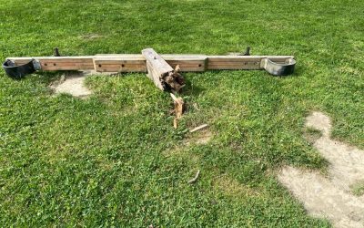 SAN MARTINGO PARKEA PUSKATUTA