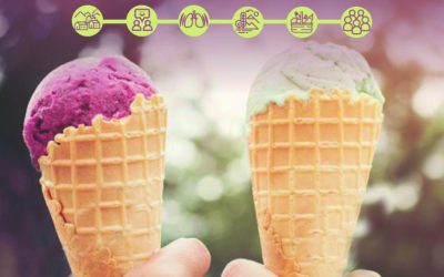 LA CAMPAÑA BERTATIK BERTARA YA EN MARCHA EN LOS BARES Y RESTAURANTES DE AMEZKETA