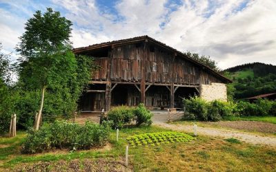 EXCURSIÓN EL 30 DE OCTUBRE AL CASERÍO IGARTUBEITI PARA AMEZKETARRAS MAYORES DE 60 AÑOS
