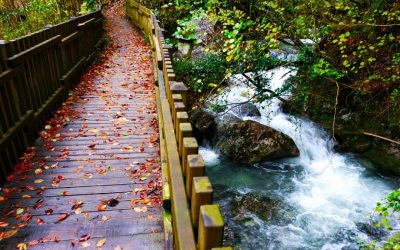 CONCURSO DE FOTOGRAFÍA PARA EL CALENDARIO MUNICIPAL 2022