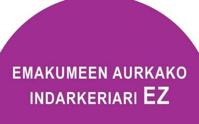 DECLARACIÓN INSTITUCIONAL APROBADA POR EL PLENO DEL AYUNTAMIENTO DE AMEZKETA EN EL DÍA INTERNACIONAL CONTRA LA VIOLENCIA HACIA LAS MUJERES