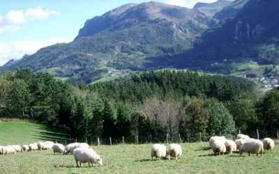 ABIERTO EL PLAZO DE INSCRIPCIÓN PARA EL PASTIZAL DE LARRONDO