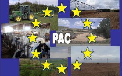 CHARLAS PARA LOS Y LAS BASERRITARRAS SOBRE EL NUEVO PAC EUROPEO