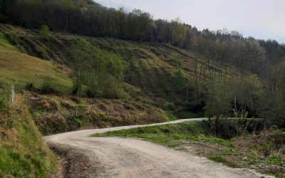 LOS ÚLTIMOS TRABAJOS REALIZADOS EN CAMINOS MUNICIPALES