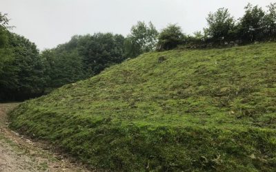 TRABAJOS DE DESBROCE EN LARRONDO