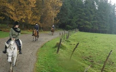 CHARLA SOBRE EDUCACIÓN EQUINA EL 7 DE OCTUBRE EN LA CASA DE CULTURA