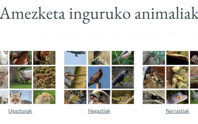 EL TRABAJO DE LOS ALUMNOS Y ALUMNAS DE ZUMADI