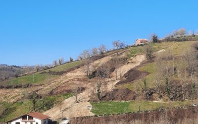 TRABAJOS DE REPARACIÓN DEL CORRIMIENTO DE TIERRA DE DETRÁS DE LA IGLESIA