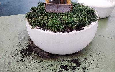 BELTZAREN PLAZAKO ERABILTZAILEEI ABISUA