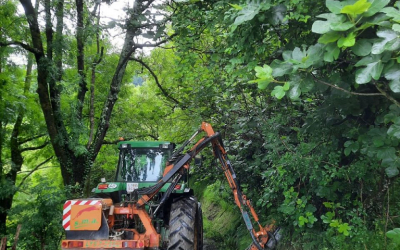 LIMPIEZA DE MÁRGENES DE CAMINOS RURALES EN AMEZKETA
