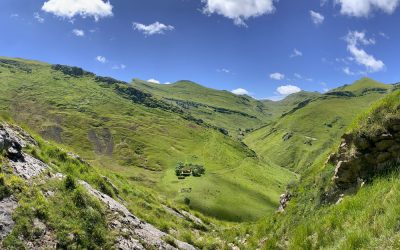 EXCURSIÓN GUIADA A ARRITZAGA ESTE SÁBADO