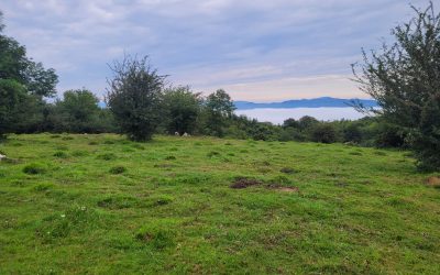 LOS CANALES DEL CAMINO DE LARRONDO, HAN SIDO LIMPIADOS EN AUZOLAN