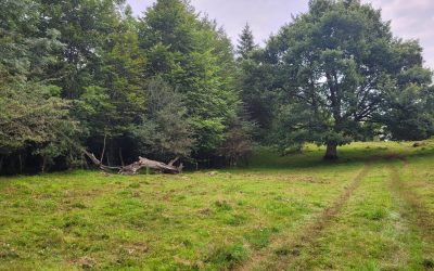 REUNIÓN CON LOS USUARIOS DE LOS PASTOS PÚBLICOS DE LARRONDO EL 3 DE AGOSTO