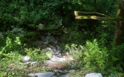 VERTIDO DE BASURA EN EL CAMINO A LARRONDO