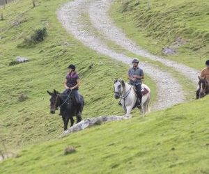 II. MARCHA DE CABALLOS EN AMEZKETA