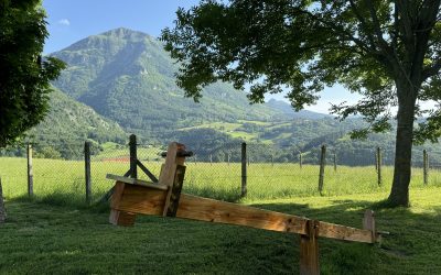 ARREGLOS EN EL PARQUE DE SAN MARTÍN