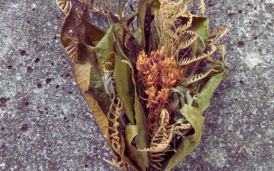 INTERESANTE OPORTUNIDAD PARA HACER LA «SAN JUAN SORTA» EN AMEZKETA