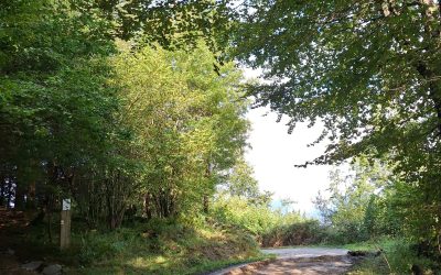 FINALIZADAS LAS OBRAS DE REPARACIÓN DEL CAMINO A LA BARRERA DE ONDARRE