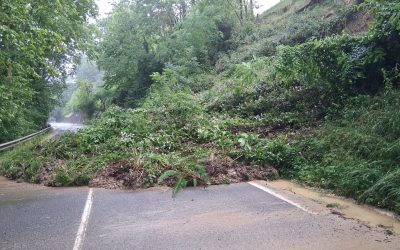 TRAS LAS LLUVIAS DEL FIN DE SEMANA