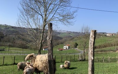 CONVOCATORIA PARA AUZOLAN PARA EL SÁBADO