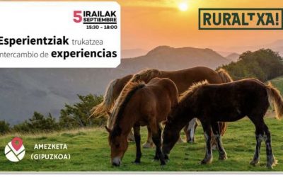 INTERCAMBIO DE EXPERIENCIAS – RURALTXA!