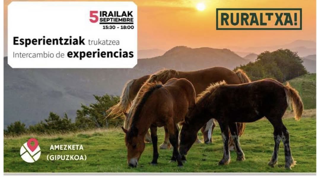 INTERCAMBIO DE EXPERIENCIAS – RURALTXA!