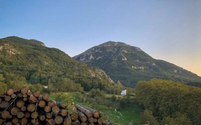 SAN MARTIN EGUNA ETA BESTE HAINBAT EKITALDI