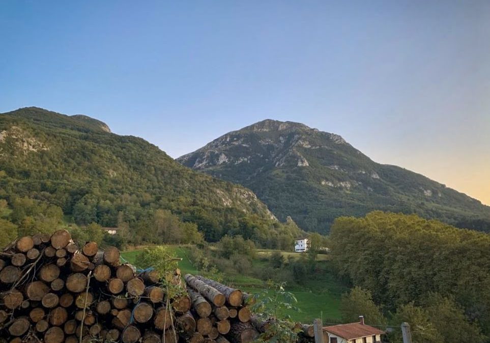 SAN MARTIN EGUNA ETA BESTE HAINBAT EKITALDI