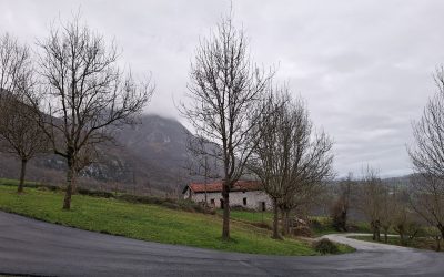 BASERRI BIDEETAKO ASFALTATZE LANAK