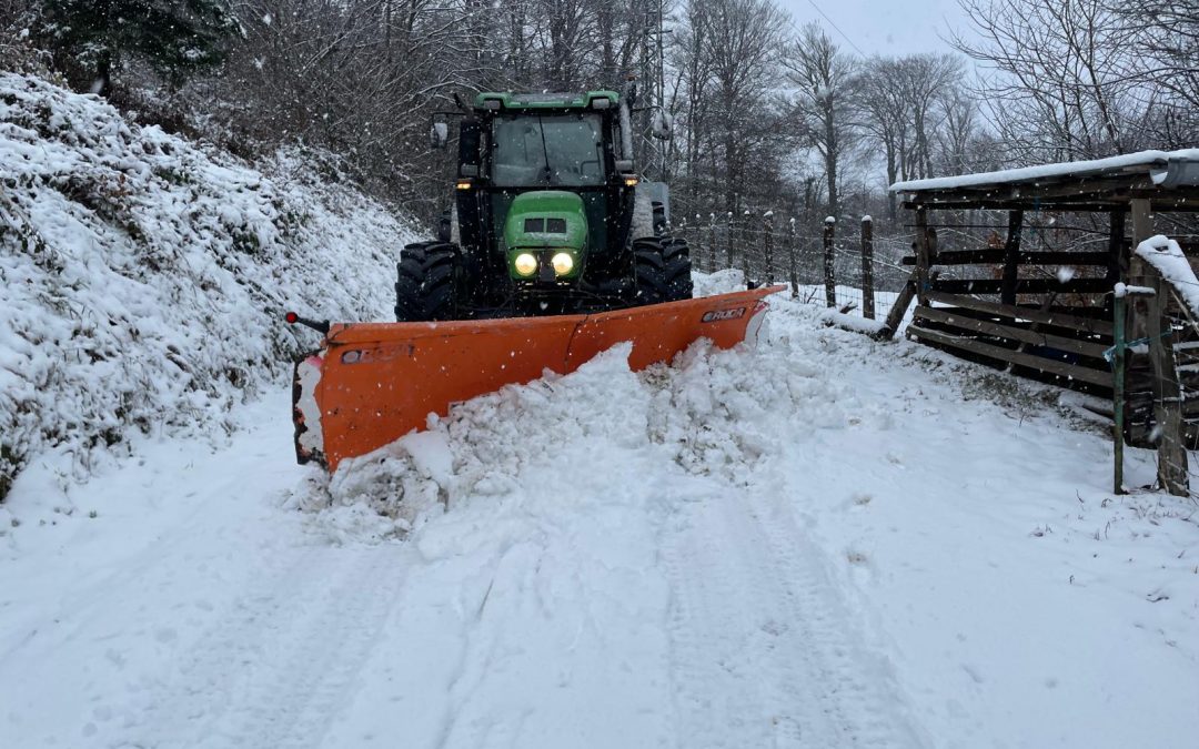 ELURRA KENTZEKO ZERBITZUA MARTXAN DA