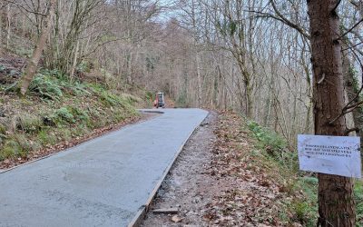 ARALARRERA DOAN BIDEAREN HORMIGOIKETA LANAK