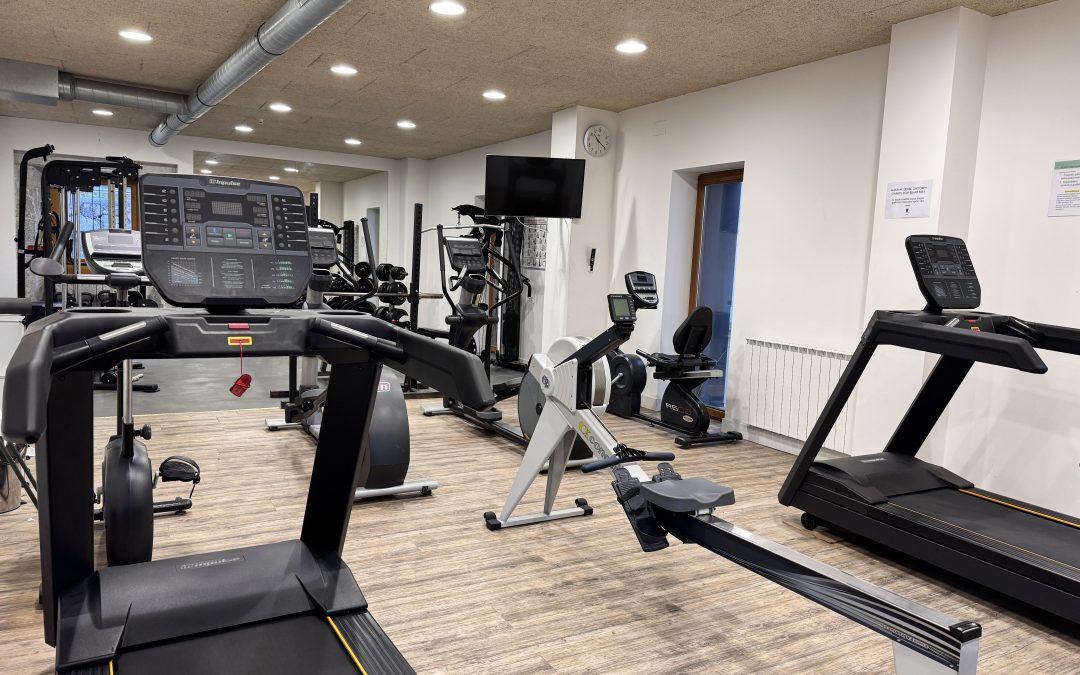 GIMNASIOAN ZINTA BERRIAK