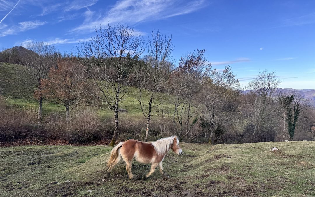 2025EAN LARRONDON EGIN DIREN ETA 2026EAN EGIN BEHARREKO LANEI BURUZKO BILERA