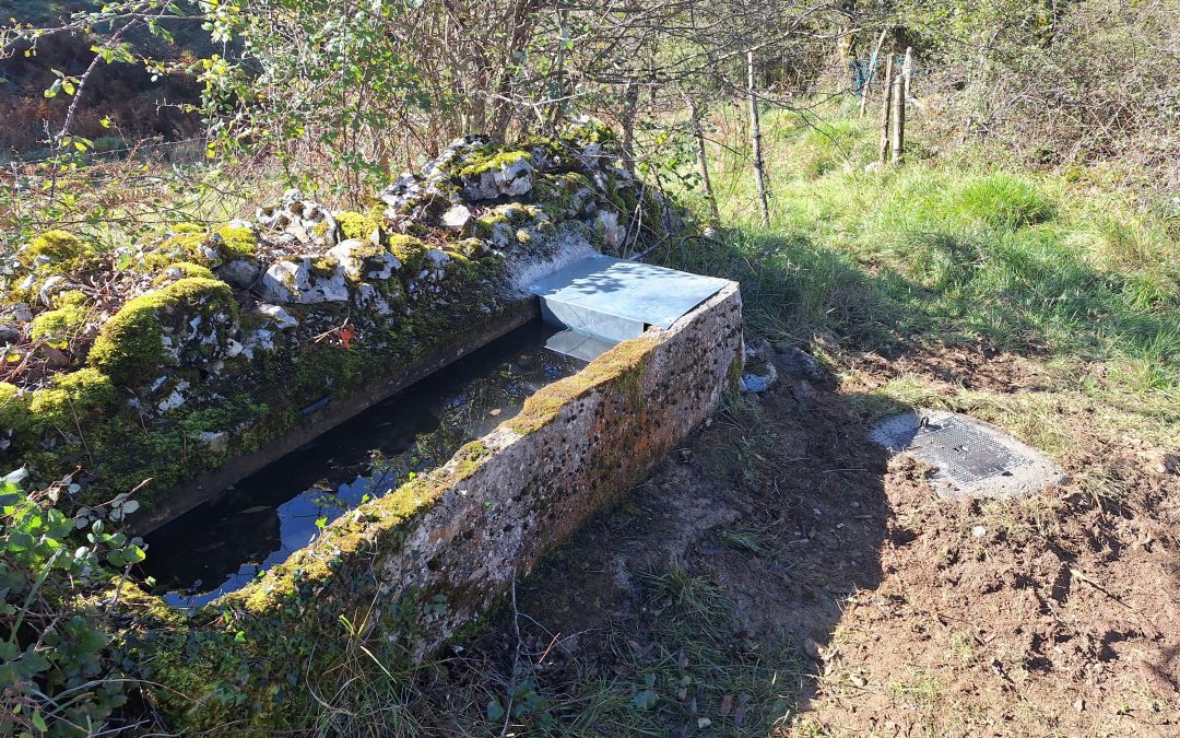 TRABAJOS EN LARRONDO 2025