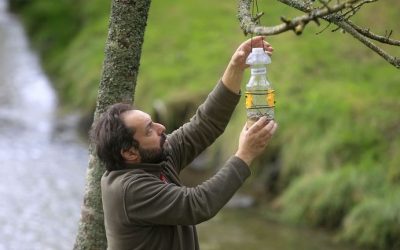 4600 LIZTOR ASIARRETIK GORA HARRAPATU DIRA ALDUNDIAK BAIMENDUTAKO TRANPATZEARI ESKER