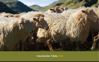 LIBURU AURKEZPENA AMEZKETAN