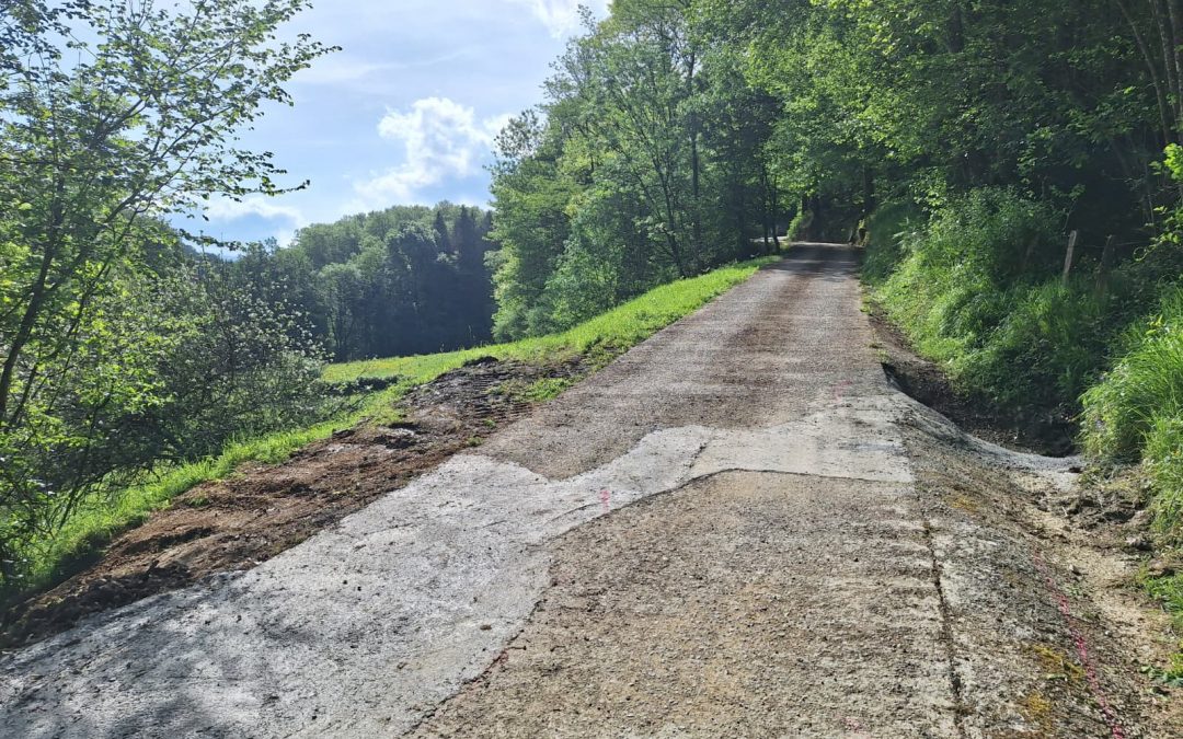 ELIZEGI BASERRIRAKO BIDEAN KONPONKETAK EGIN DIRA