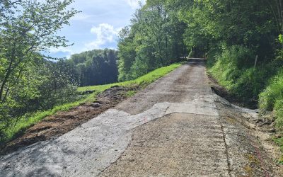 ELIZEGI BASERRIRAKO BIDEAN KONPONKETAK EGIN DIRA